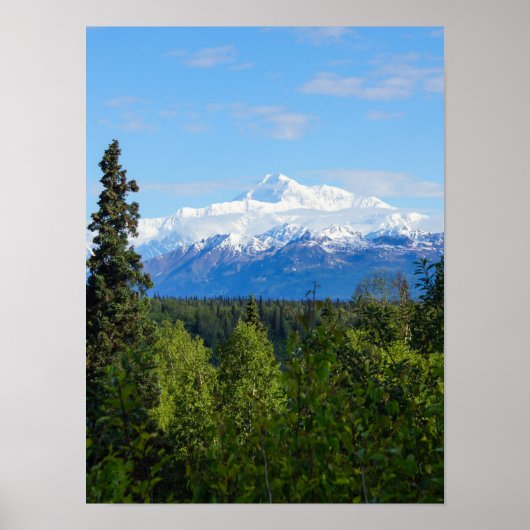 Poster Beau Denali (Devant)