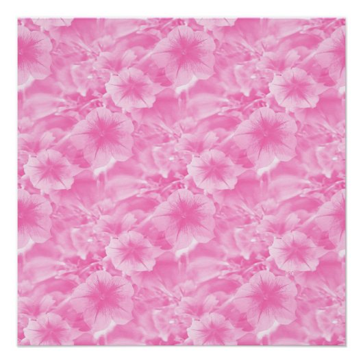 Poster Beau en rose.. (Devant)