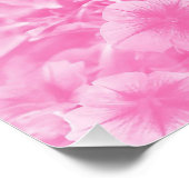 Poster Beau en rose.. (Coin)