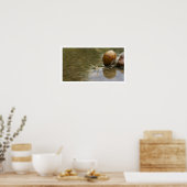 Poster Beau escargot reflété dans l'eau (Cuisine)