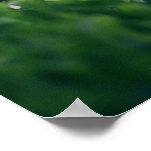 Poster Beau et élégant confluent blanc (Coin)