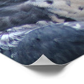 Poster Beau Faucon Pelegrine gris-blanc (Coin)