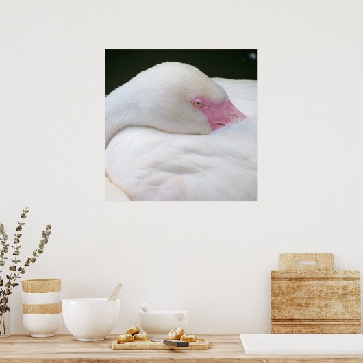 Poster Beau Flamant rose blanc (Cuisine)