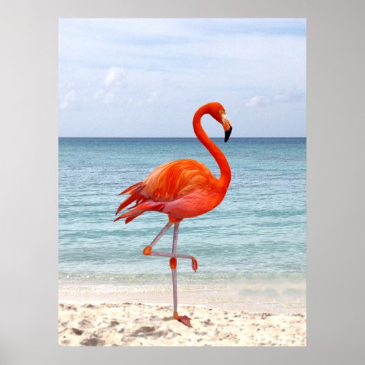 Poster Beau Flamant Rose Oiseau sur la Plage (Devant)
