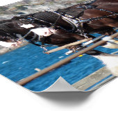 Poster Beau harnais belges chevaux de travail (Coin)