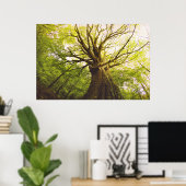 Poster Beau Hêtre (Bureau à domicile)