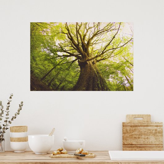 Poster Beau Hêtre (Cuisine)