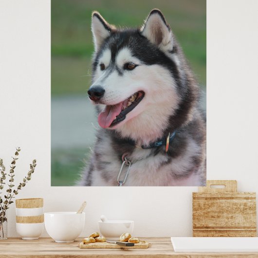 Poster Beau Husky Art Print Sled Dog (Cuisine)