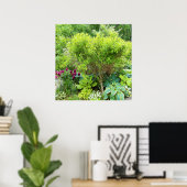 Poster Beau jardin paysager vert avec hostas (Bureau à domicile)