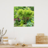 Poster Beau jardin paysager vert avec hostas (Cuisine)