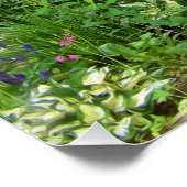 Poster Beau jardin paysager vert avec hostas (Coin)