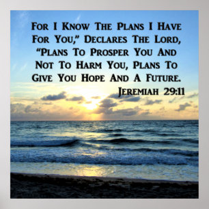 POSTER BEAU JEREMIAH 29:11 SKIS BLEUS