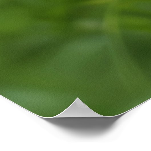 Poster Beau lapin (Coin)