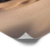 Poster Beau léopard (Coin)