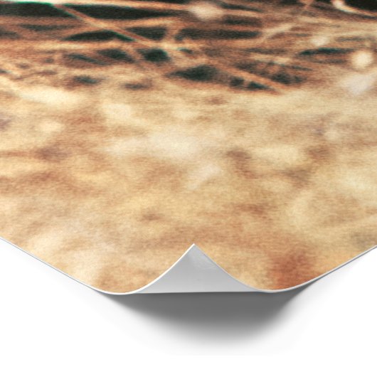 POSTER BEAU LION (Coin)