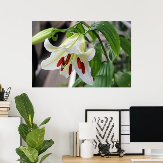 POSTER BEAU LIT BLANC (Bureau à domicile)