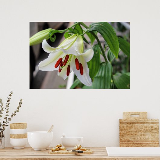 POSTER BEAU LIT BLANC (Cuisine)