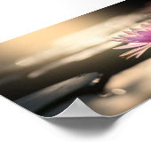 Poster Beau Lotus, Lac, Zen (Coin)