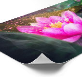 Poster Beau Lotus, Paysage, Zen (Coin)