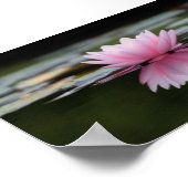 Poster Beau Lotus, Zen (Coin)