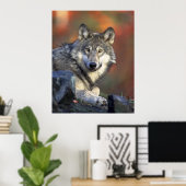 Poster Beau loup (Bureau à domicile)