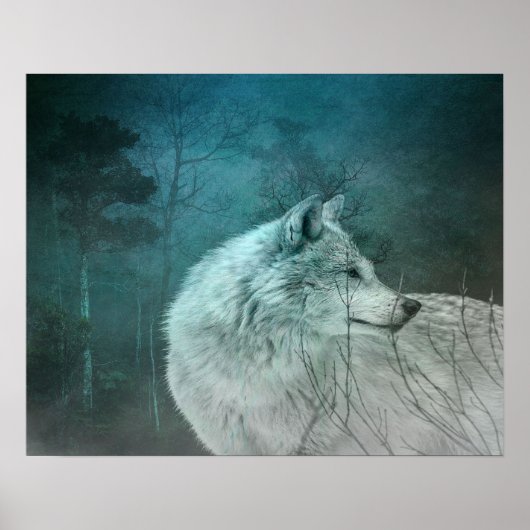 Poster Beau loup gris dans une forêt foncée (Devant)