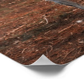 Poster Beau Lurcher chien (Coin)