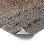 Poster Beau Mess (Coin)