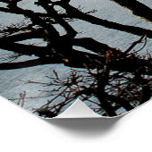 Poster Beau mont Fuji (Coin)