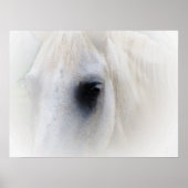 Poster Beau oeil de cheval (Devant)