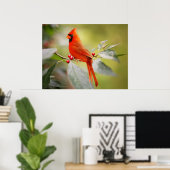 Poster Beau oiseau cardinal rouge dans l'arbre (Bureau à domicile)