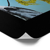 Poster Beau oiseau d'été (Coin)