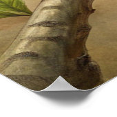 Poster Beau Oiseau Turquoise (Coin)