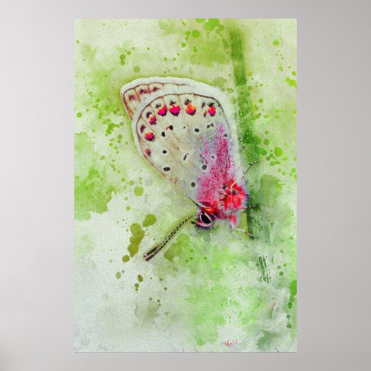 Poster beau papillon blanc sur une peinture à la tige (Devant)