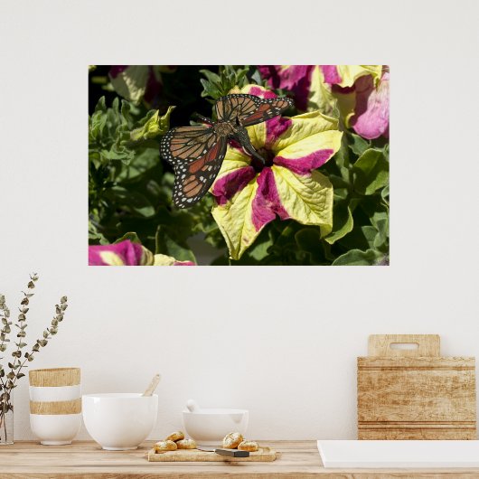 Poster Beau papillon éléphant (Cuisine)