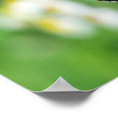 Poster Beau papillon monarque (Coin)