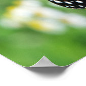 Poster Beau papillon Monarque (Coin)