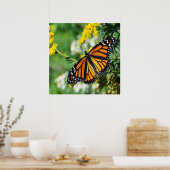 Poster Beau papillon monarque (Cuisine)