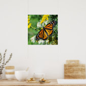Poster Beau papillon Monarque (Cuisine)