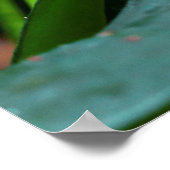 Poster Beau papillon sur une fleur rose (Coin)