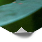 Poster Beau papillon sur une fleur rose (Coin)