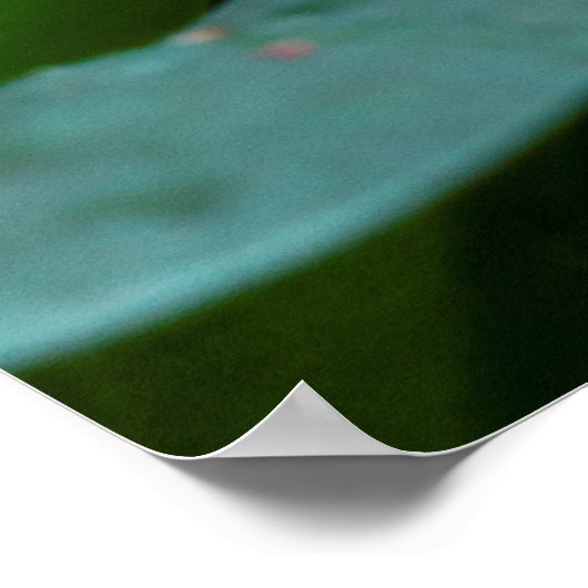 Poster Beau papillon sur une fleur rose (Coin)