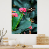Poster Beau papillon sur une fleur rose (Cuisine)