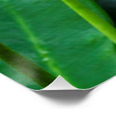 Poster Beau papillon sur une fleur rose (Coin)