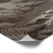 Poster Beau paysage artistique médiéval (Coin)