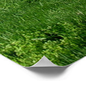 Poster Beau paysage avec des arbres (Coin)