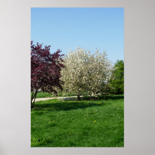 Poster Beau paysage avec des arbres
