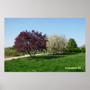 Poster Beau paysage avec des arbres