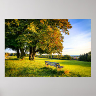 Poster Beau paysage d'automne