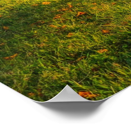 Poster Beau paysage d'automne (Coin)